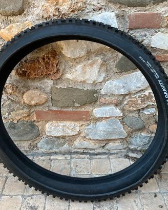 schwalbe shredda gravity rear pro tlr 29x2.50