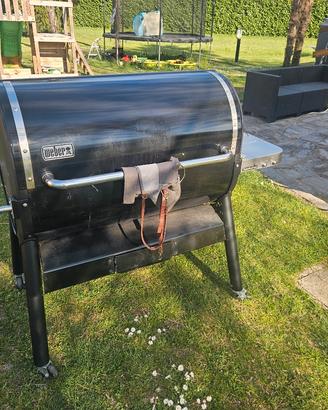 Weber smokefire ex6