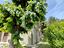 Immagine 23