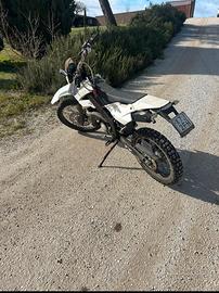 derbi  50