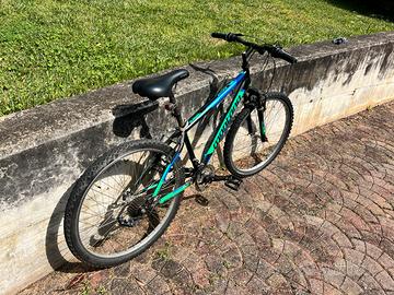 Mountain bike Montana