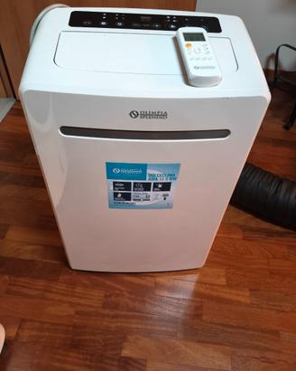 condizionatore portatile
