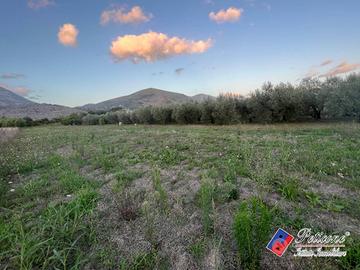 Terreno agricolo - Fondi