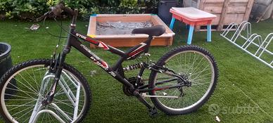 Bicicletta Frejus ragazzo