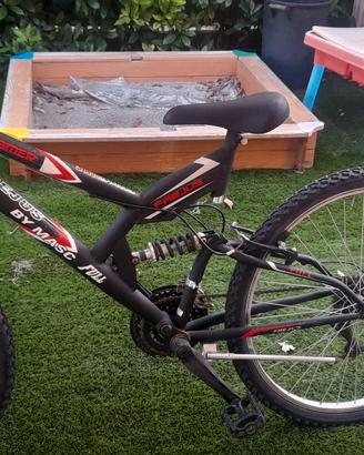 Bicicletta Frejus ragazzo