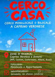Monolocale arredato 