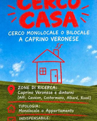Monolocale arredato 