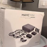 Drone DJI Mavic Mini Combo