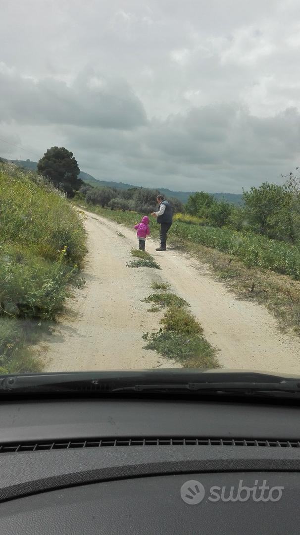 Terreno agricolo (15,5 tummini) - Vista 2