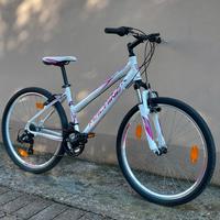 Bicicletta Mounyain Bike Rock Machine raggio 26