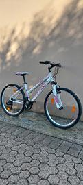 Bicicletta Mounyain Bike Rock Machine raggio 26