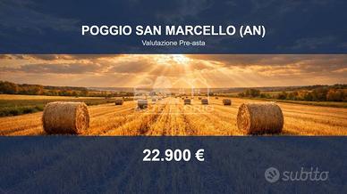 Immobile in asta di 98631 m² a Poggio San Marcello
