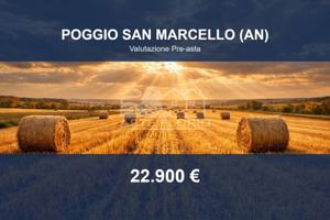 Immobile in asta di 98631 m² a Poggio San Marcello