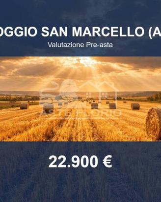 Immobile in asta di 98631 m² a Poggio San Marcello