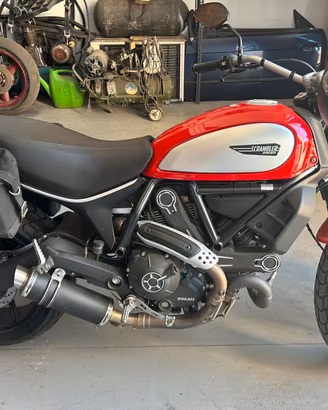 Ducati scrambler 800 icon