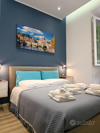 Casa vacanze san Pietro musei vaticani