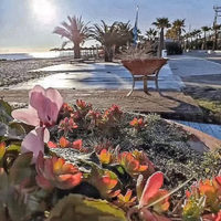 Marina di Altidona