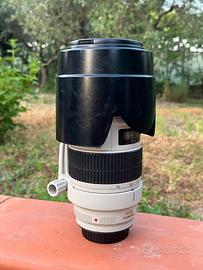 Canon EF 70-200mm f/2.8 L USM