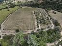 fondo-rustico-rocca-imperiale-