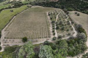 Fondo rustico (Rocca imperiale)