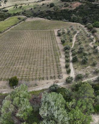 Fondo rustico (Rocca imperiale)