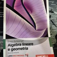 Algebra lineare e geometria, Schlesinger