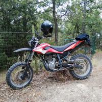 Beta M4 - 2006