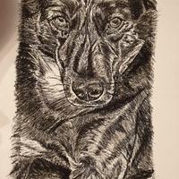 Disegno originale carboncino china