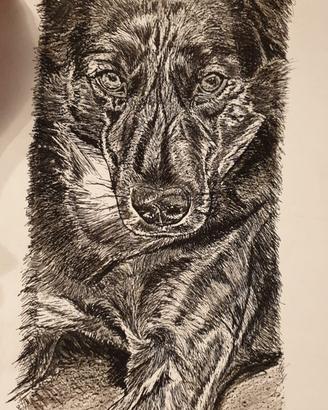 Disegno originale carboncino china