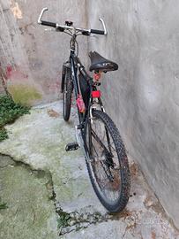 mountanbike 