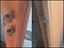 Immagine 5