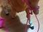 Immagine 3