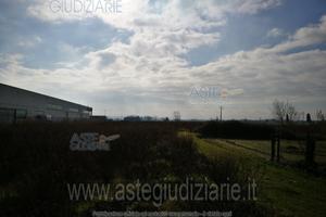 Terreno Agricolo Bientina [A4265424]