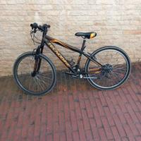 Bicicletta Tecno Bike
