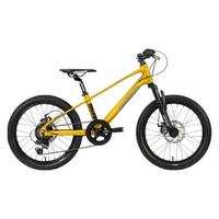 Mountain bike Lombardo Brera 20