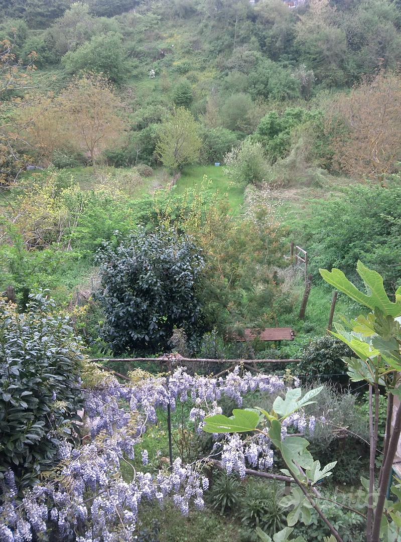 terreno con rustico in stato grezzo - Vista 5