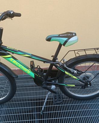 Bicicletta Zecchini da bambino 