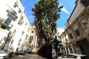 Negozio Palermo [Cod. rif CPT131ACG]