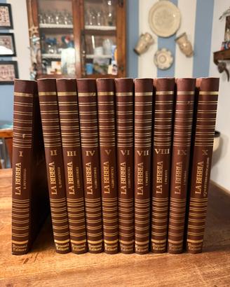 Bibbia illustrata (Rusconi Editore)