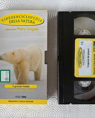 Piero Angela VHS Il Signore dei Ghiacci n.13