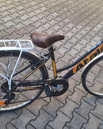 Bici da passeggio