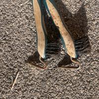 spazzole e nettapiedi per cavalli