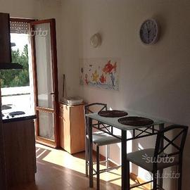 Rosolina mare, monolocale petfriendly