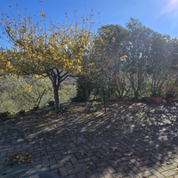 Terreno con casa a Ozieri