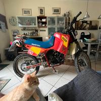 Motron Oregon 50 1986