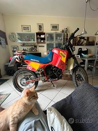 Motron Oregon 50 1986