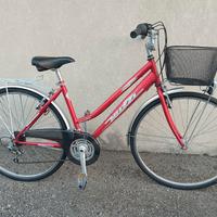 Bici da passeggio, molto ben tenuta e completa