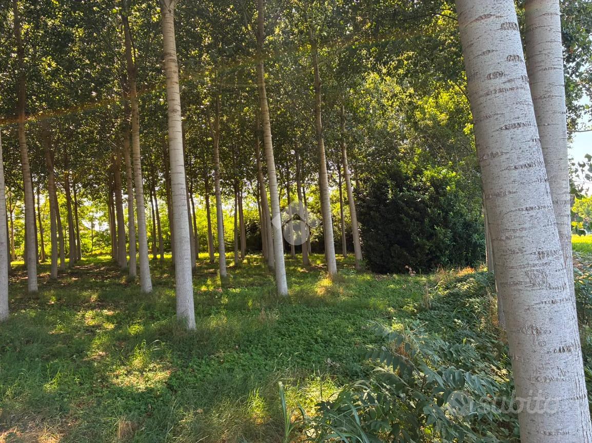 TER. AGRICOLO A CORBETTA - Vista 2