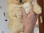 Immagine 5