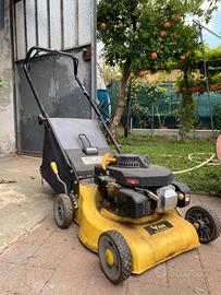 Tagliaerba a Scoppio Vigor